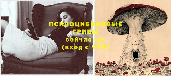 МДПВ Армянск