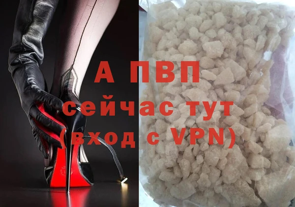 стафф Аркадак